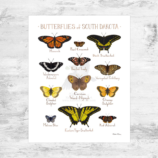 Wholesale Butterflies Field Guide Art Print: South Dakota Mini