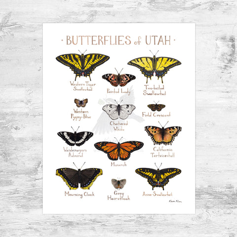 Wholesale Butterflies Field Guide Art Print: Utah Mini
