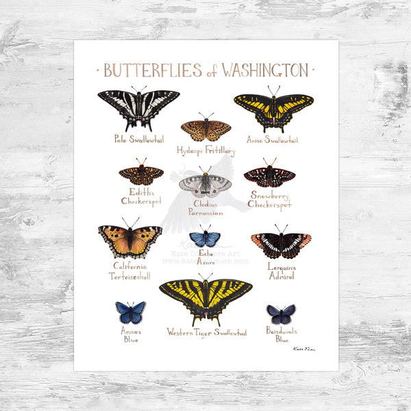 Wholesale Butterflies Field Guide Art Print: Washington Mini