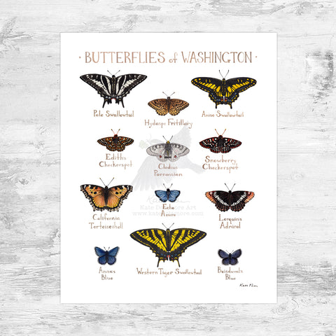 Wholesale Butterflies Field Guide Art Print: Washington Mini
