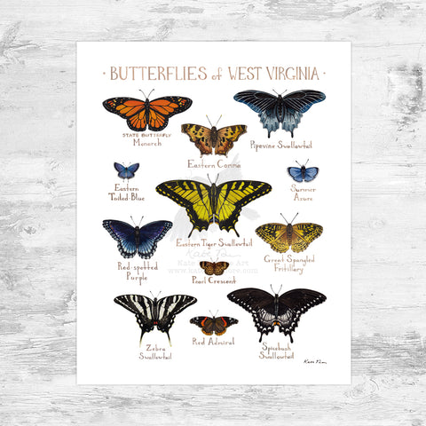 Wholesale Butterflies Field Guide Art Print: West Virginia Mini
