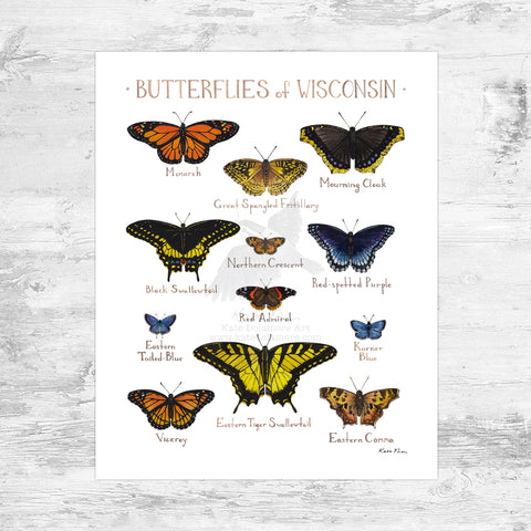 Wholesale Butterflies Field Guide Art Print: Wisconsin Mini