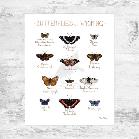 Wholesale Butterflies Field Guide Art Print: Wyoming Mini