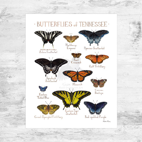 Wholesale Butterflies Field Guide Art Print: Tennessee Mini