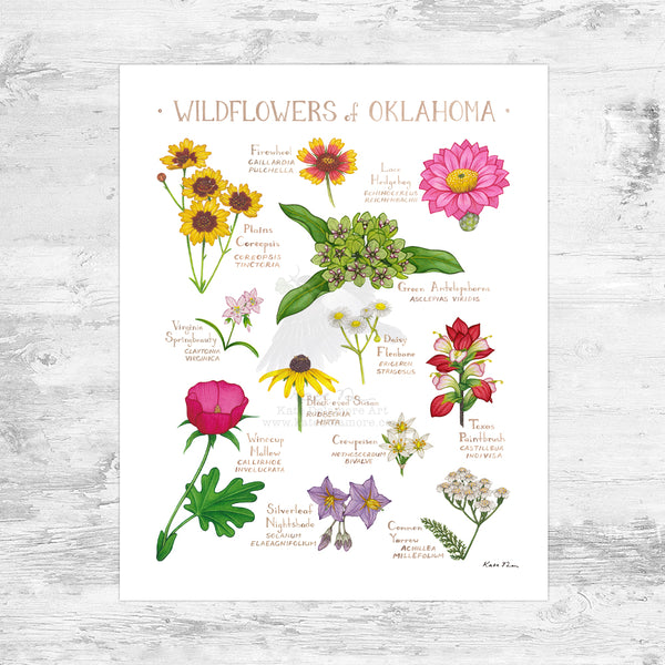 Wholesale Wildflowers Field Guide Art Print: Oklahoma Mini