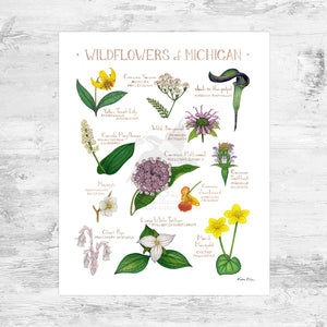 Wholesale Wildflowers Field Guide Art Print: Michigan Mini