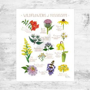 Wholesale Wildflowers Field Guide Art Print: Mississippi Mini