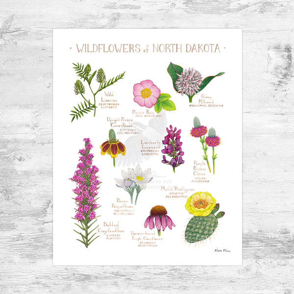 Wholesale Wildflowers Field Guide Art Print: North Dakota Mini