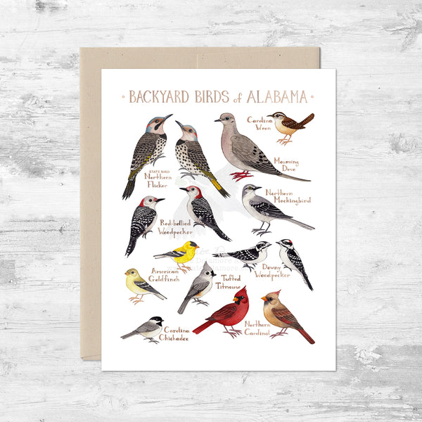 Backyard Birds of Alabama Note Card