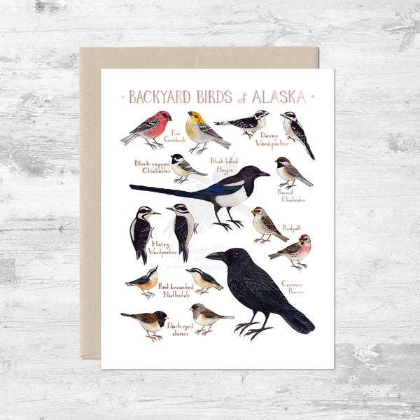 Backyard Birds of Alaska Note Card