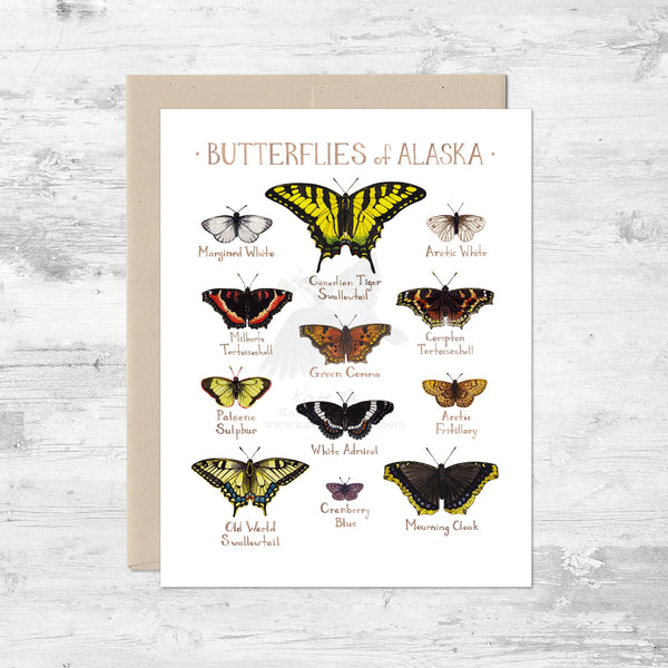 Butterflies of Alaska Note Card
