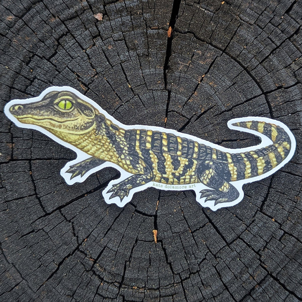 Wholesale Vinyl Sticker: Alligator Baby