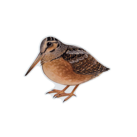 Wholesale Vinyl Sticker: American Woodcock