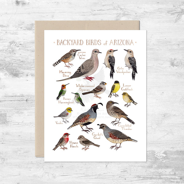 Backyard Birds of Arizona Note Card