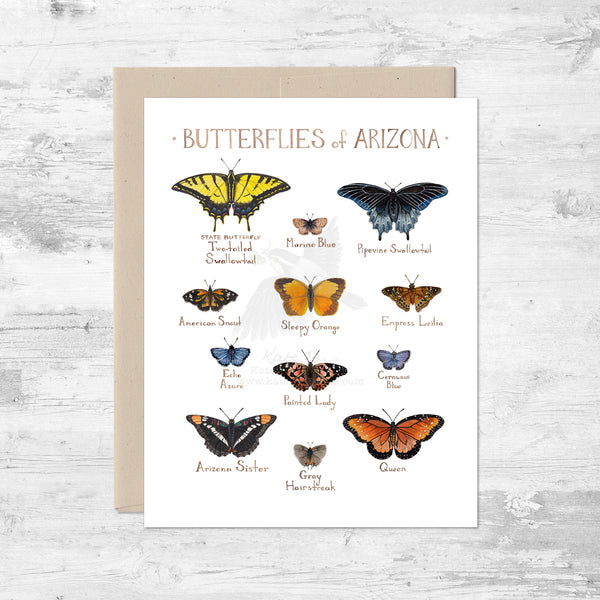 Butterflies of Arizona Note Card