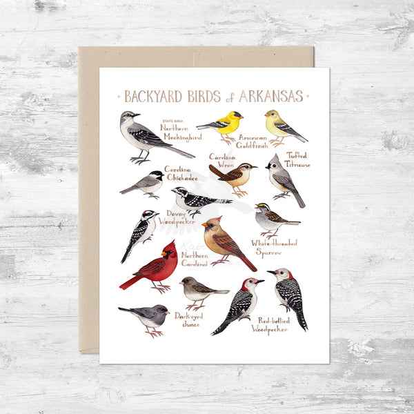 Backyard Birds of Arkansas Note Card