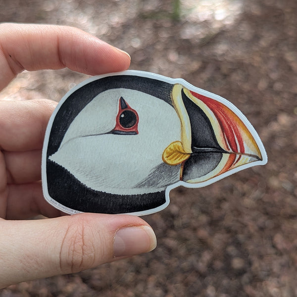 Wholesale Vinyl Sticker: Atlantic Puffin Portrait