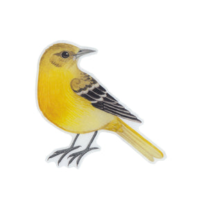 Wholesale Vinyl Sticker: Baltimore Oriole (Female)