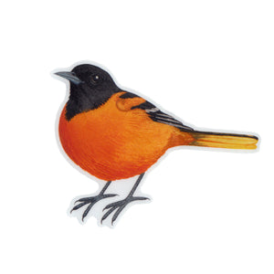 Wholesale Vinyl Sticker: Baltimore Oriole (Male)