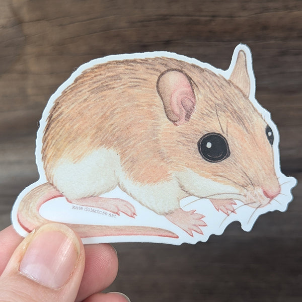 Wholesale Vinyl Sticker: Southeastern Beach Mouse