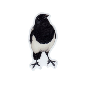 Wholesale Vinyl Sticker: Black-billed Magpie