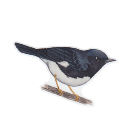 Wholesale Vinyl Sticker: Black-throated Blue Warbler