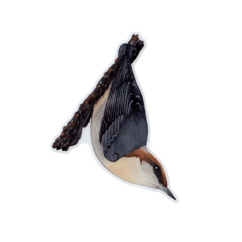 Wholesale Vinyl Sticker: Brown-headed Nuthatch