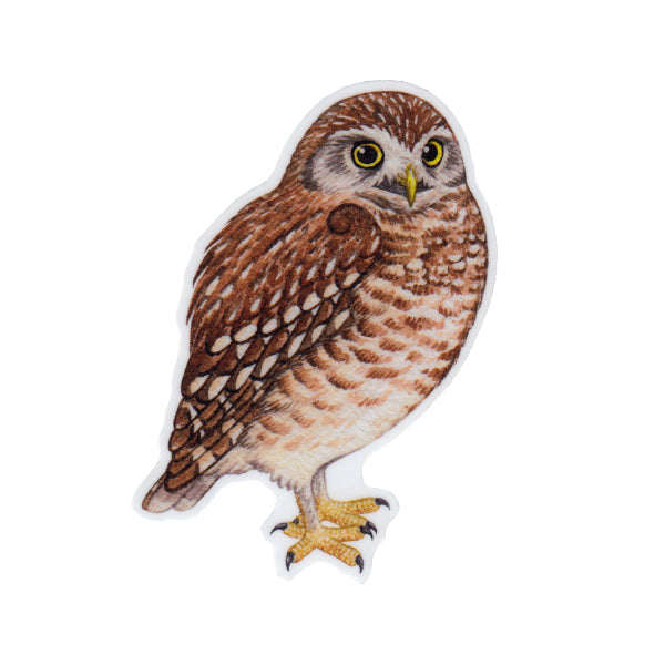 Wholesale Vinyl Sticker: Burrowing Owl