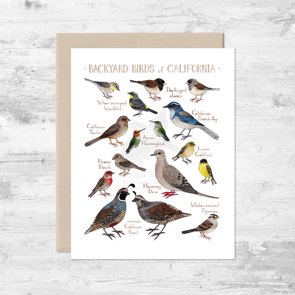 Backyard Birds of California Note Card