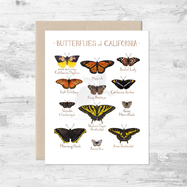 Butterflies of California Note Card