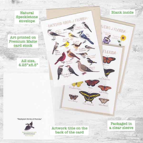 Butterflies of Alaska Note Card