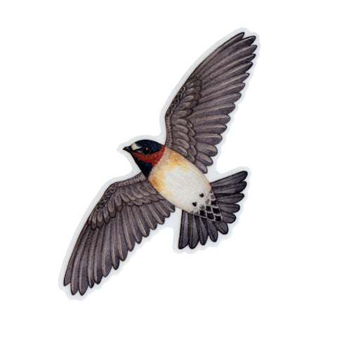 Wholesale Vinyl Sticker: Cliff Swallow