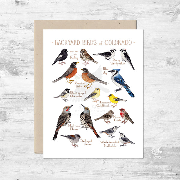 Backyard Birds of Colorado Note Card