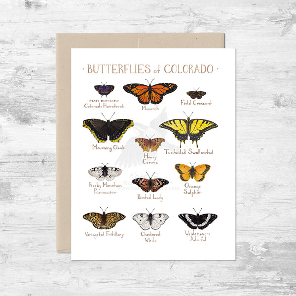 Butterflies of Colorado Note Card