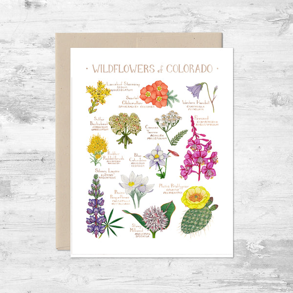 Wildflowers of Colorado Note Card