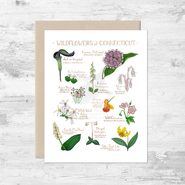 Wildflowers of Connecticut Note Card