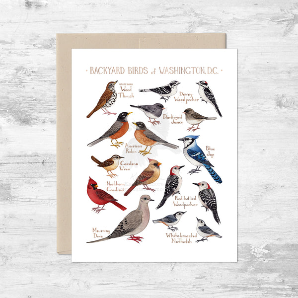 Backyard Birds of Washington, D.C. Note Card