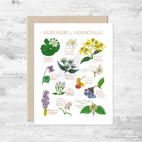 Wildflowers of Washington, D.C. Note Card