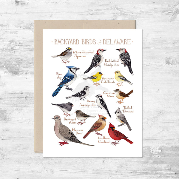 Backyard Birds of Delaware Note Card