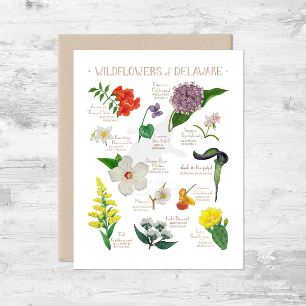 Wildflowers of Delaware Note Card