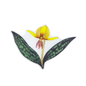Wholesale Vinyl Sticker: Dimpled Trout Lily