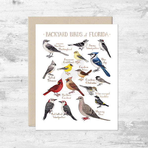 Backyard Birds of Florida Note Card