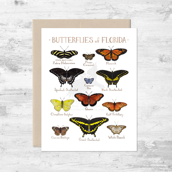 Butterflies of Florida Note Card