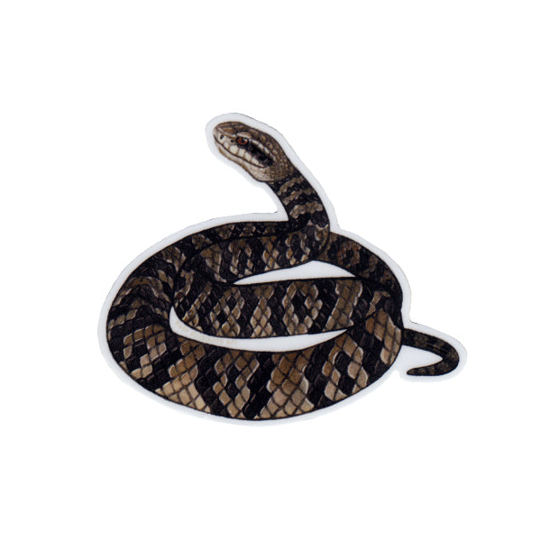 Wholesale Vinyl Sticker: Florida Cottonmouth Snake