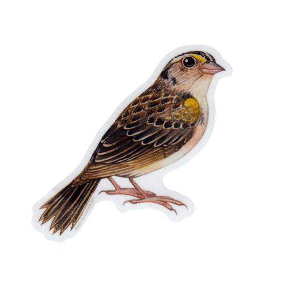 Wholesale Vinyl Sticker: Florida Grasshopper Sparrow