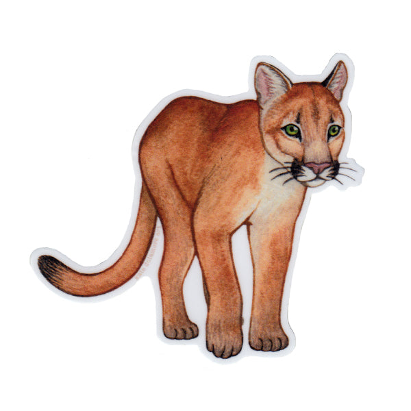 Wholesale Vinyl Sticker: Florida Panther