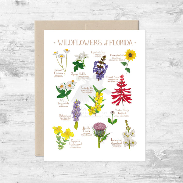 Wildflowers of Florida Note Card