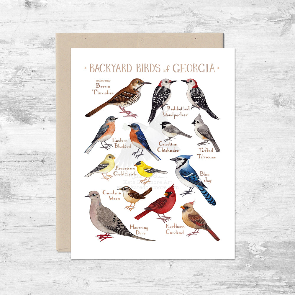 Backyard Birds of Georgia Note Card – Kate Dolamore Art Wholesale