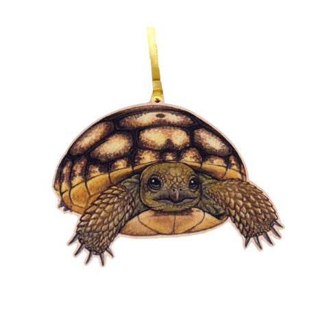 Wholesale Christmas Ornaments: Gopher Tortoise Baby