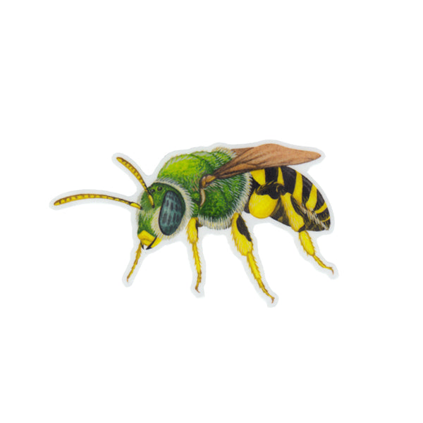 Wholesale Vinyl Sticker: Sweat Bee